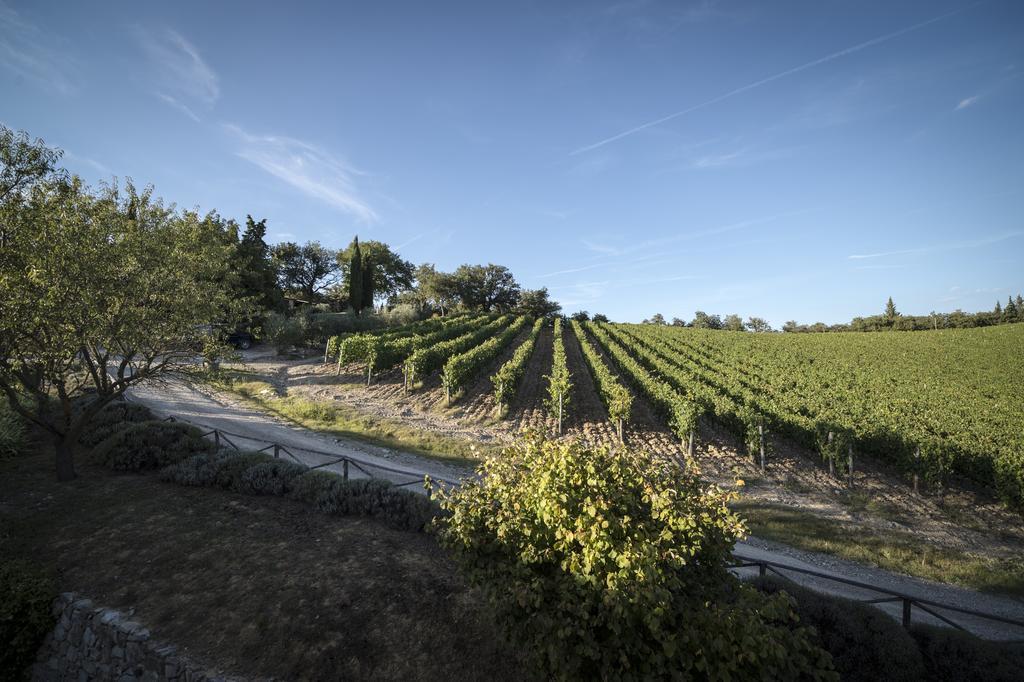 Collelungo Guest House Castellina in Chianti Bilik gambar