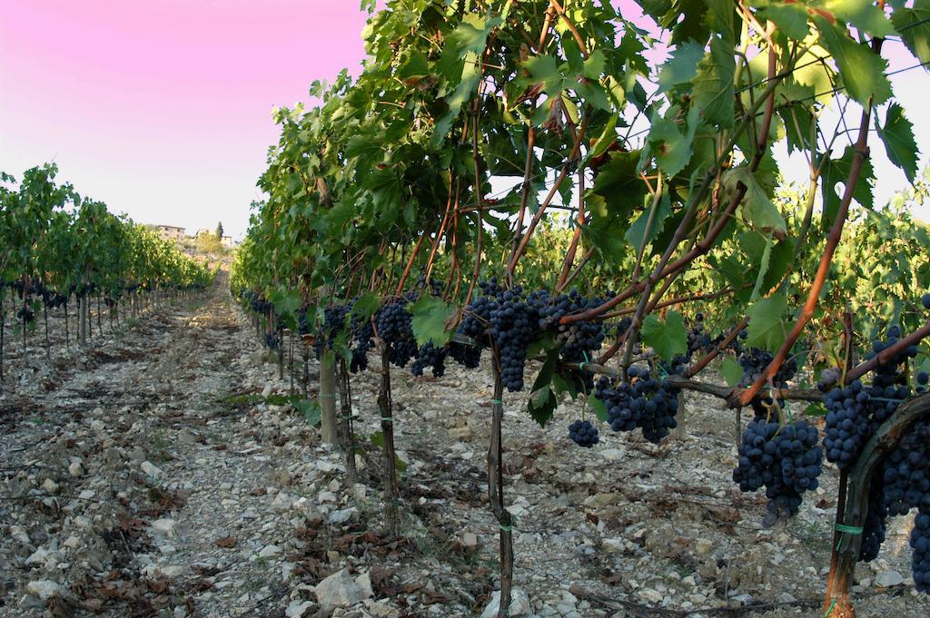 Collelungo Guest House Castellina in Chianti Luaran gambar