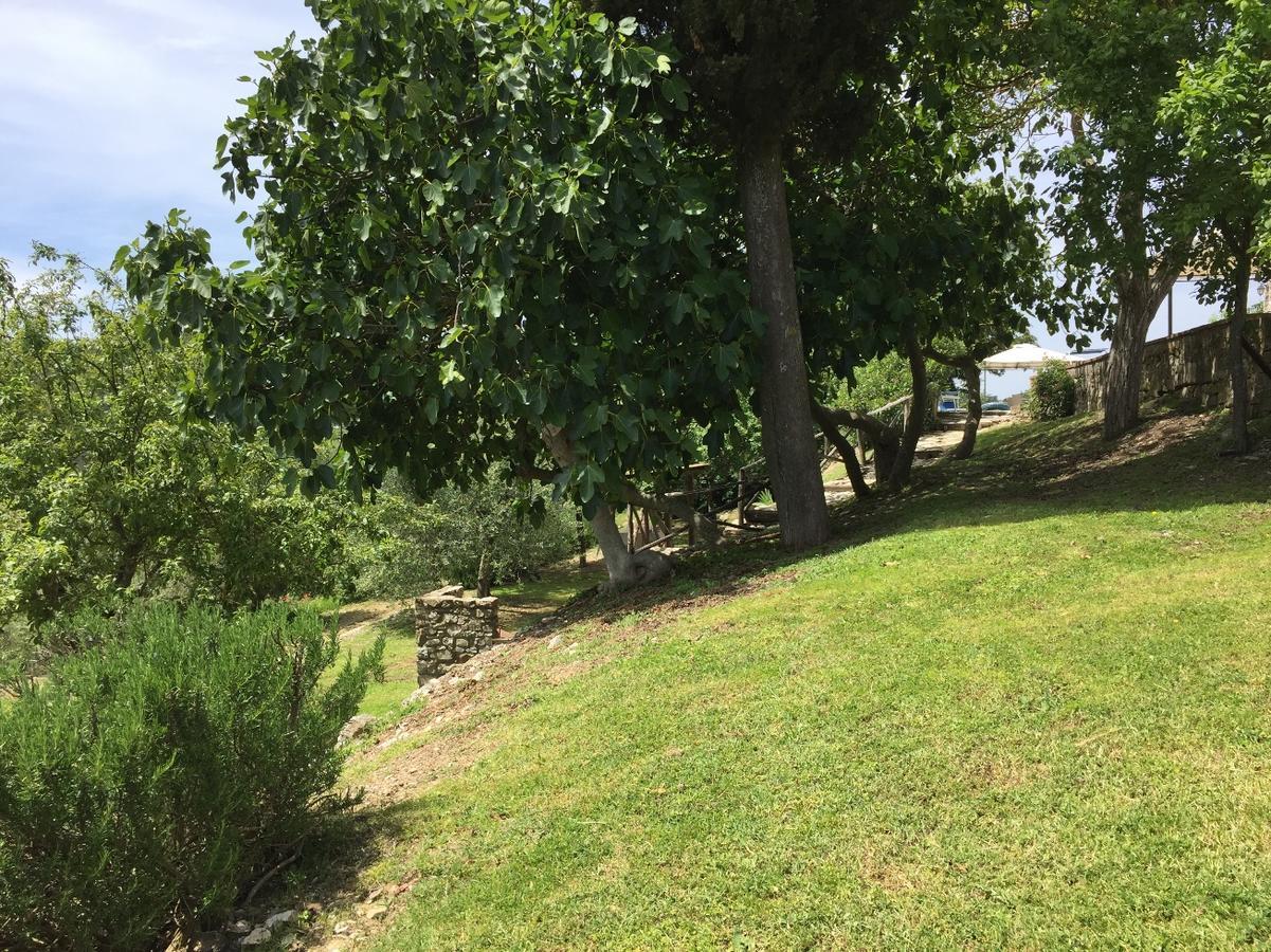 Collelungo Guest House Castellina in Chianti Luaran gambar
